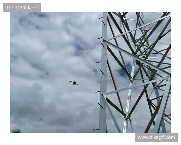 深度剖析尊龙d88线路检测的安全性与可靠性